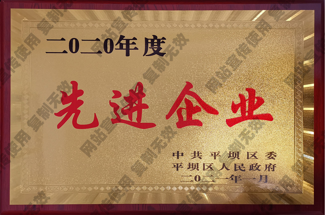 2020年先進企業