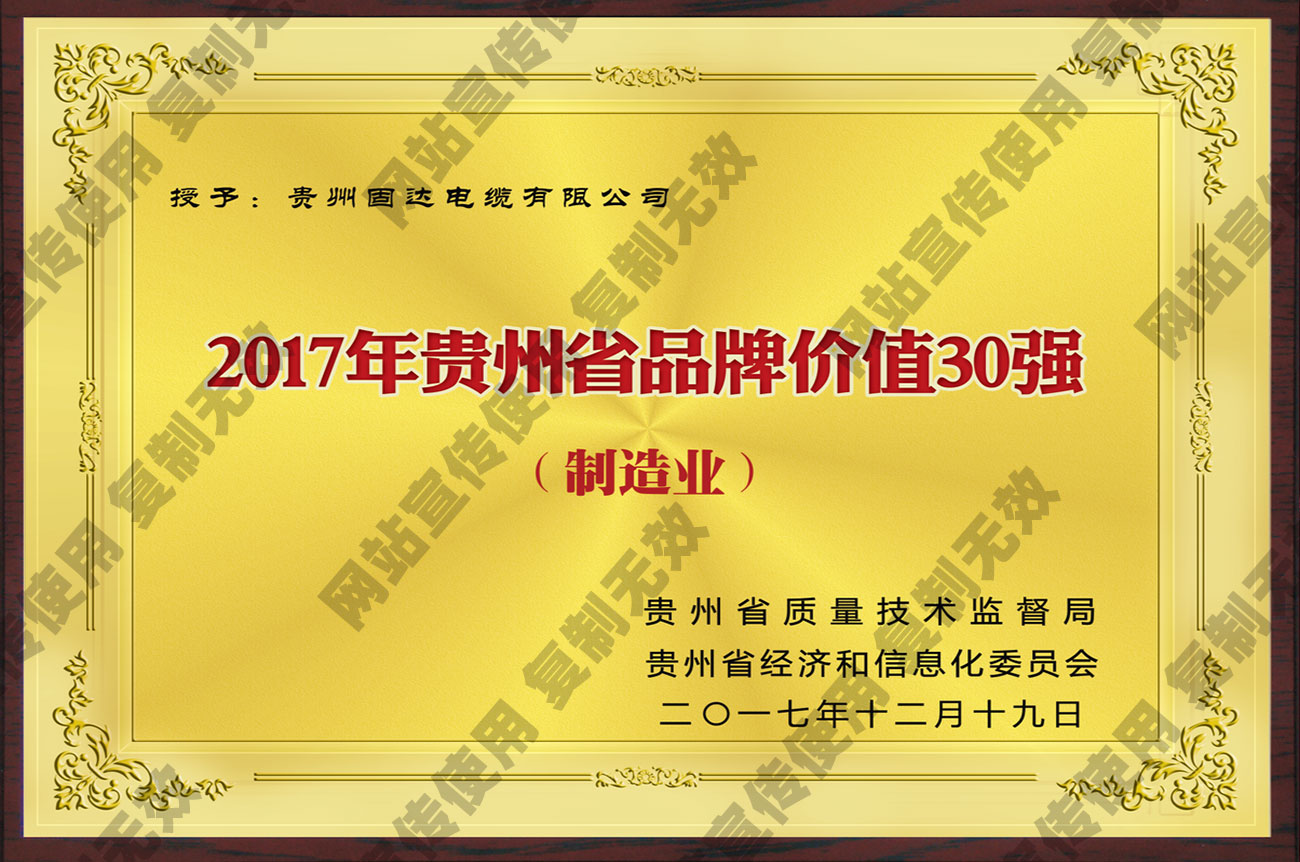 2017年省品牌價值30強（制造業）
